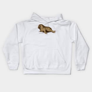 Elephant Seal Kids Hoodie